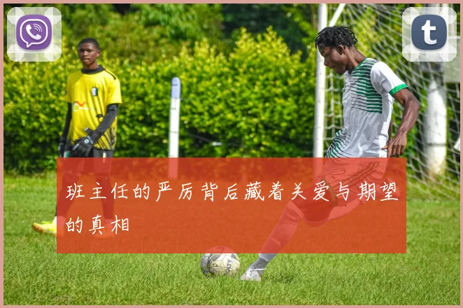 班主任的严厉背后藏着关爱与期望的真相