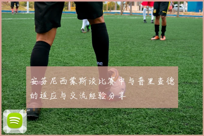安芬尼西蒙斯谈比赛中与普里查德的适应与交流经验分享