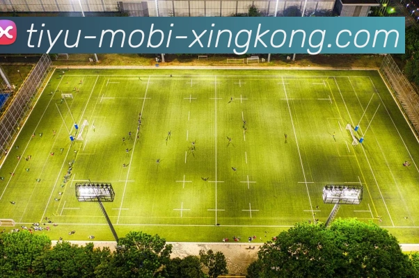 星空体育APP 封面图